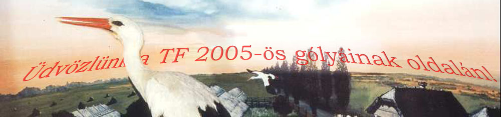 A Testnevelsi Egyetem 2005-s glyinak oldala